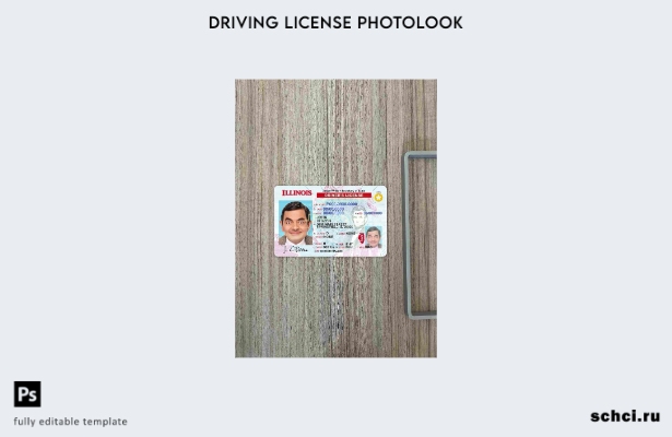 цифровая загрузка США Иллинойс DL шаблон Photolook FRONT